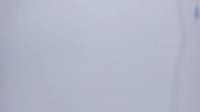 mirandaduboiss online show from 13, 4, 2026