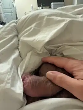 Snapshot of BicolorCandidate81 chatting on 30, 10, 2025 BicolorCandidate81 online show from 30, 10, 2025