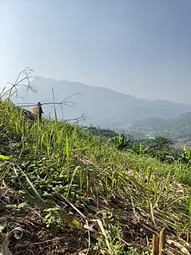 Irin jo online show from 23, 11, 2025