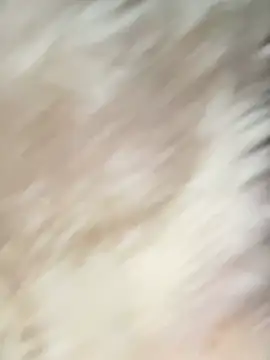 Irin jo online show from 2, 2, 2026