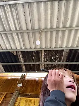 2k7-sex online show from 15, 12, 2025