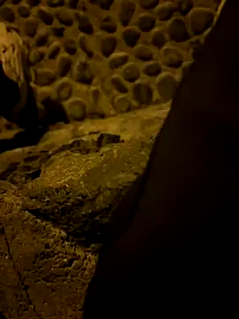 Rico1 1 online show from 14, 11, 2025