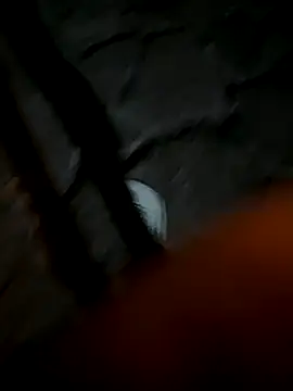 Rico1 1 online show from 9, 11, 2025