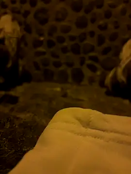 Rico1 1 online show from 18, 11, 2025