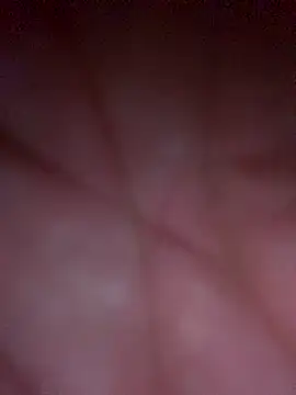 Bkackmamba online show from 7, 11, 2025