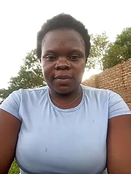 hairypussy254 online show from 27, 11, 2025