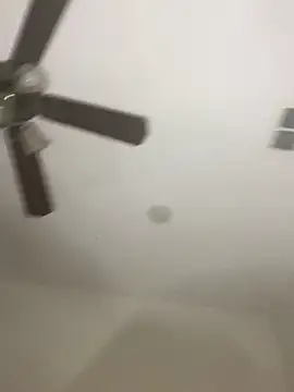 playxrated online show from 5, 4, 2026