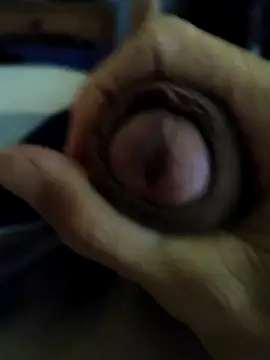 Snapshot of frajola-rs chatting on 10, 11, 2025 frajola-rs online show from 10, 11, 2025