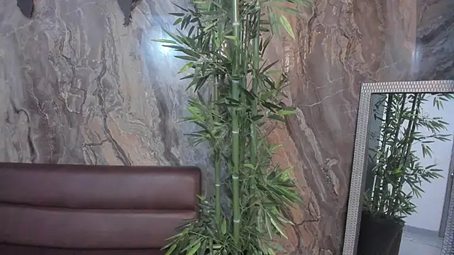 sydney miller  online show from 13, 11, 2025