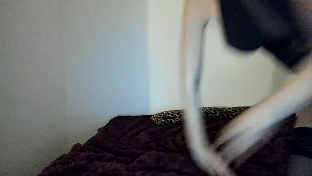 Blueskynicci online show from 18, 11, 2025