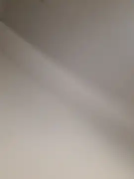 Egyptian1562xh online show from 11, 2, 2026