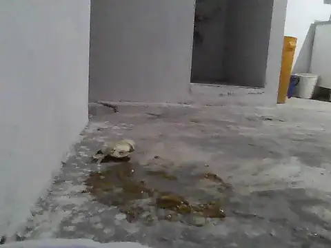 jupiter 333 online show from 8, 1, 2026