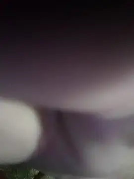 Snapshot of Morbosnif chatting on 2, 11, 2025 Morbosnif online show from 2, 11, 2025