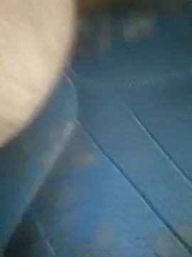 Snapshot of Morbosnif chatting on 4, 11, 2025 Morbosnif online show from 4, 11, 2025