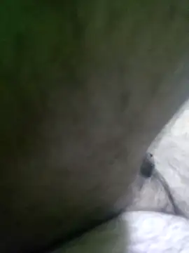 Morbosnif online show from 21, 12, 2025