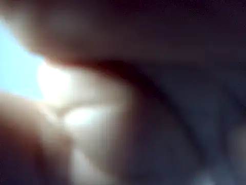 lustyruhh online show from 26, 3, 2026