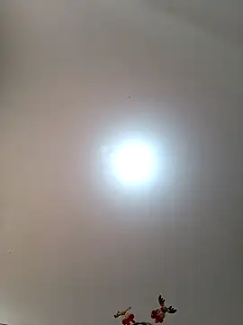 Snapshot of Lunatemptress4 chatting on 1, 12, 2025 Lunatemptress4 online show from 1, 12, 2025