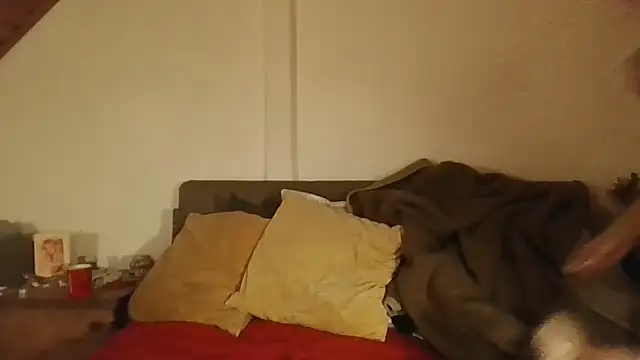 carmine cate online show from 8, 2, 2026