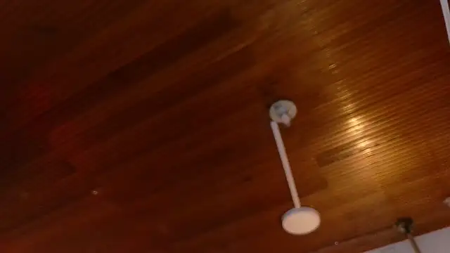 melissa  dolce online show from 23, 3, 2026