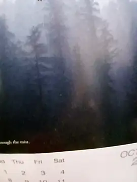 Snapshot of Kolkatacock06 chatting on 26, 10, 2025 Kolkatacock06 online show from 26, 10, 2025