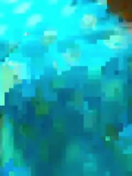 vedha4112telugu online show from 18, 4, 2026