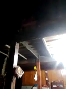 TRIEUTRIEU20 online show from 22, 3, 2026