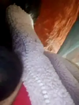 TRIEUTRIEU20 online show from 11, 3, 2026