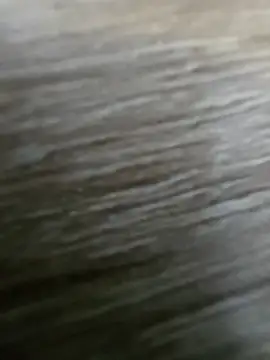 vivodan online show from 4, 4, 2026