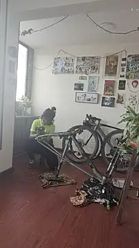 Neciaa online show from 8, 4, 2026