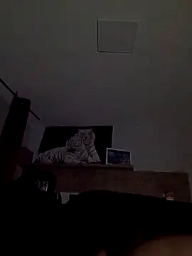 ursosvp online show from 24, 11, 2025