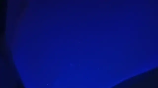bestofbothworlds89 online show from 25, 5, 2026