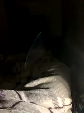 bfelipedasilva online show from 23, 10, 2025