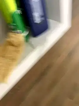 bfelipedasilva online show from 23, 11, 2025