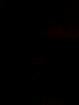 Poonam12A online show from 7, 2, 2026