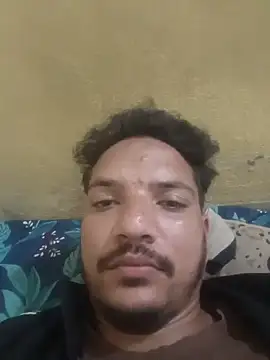 indoregigolo online show from 3, 3, 2026