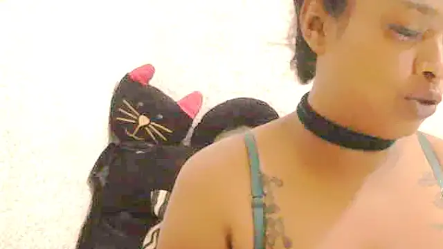 DOVE85 online show from 14, 12, 2025