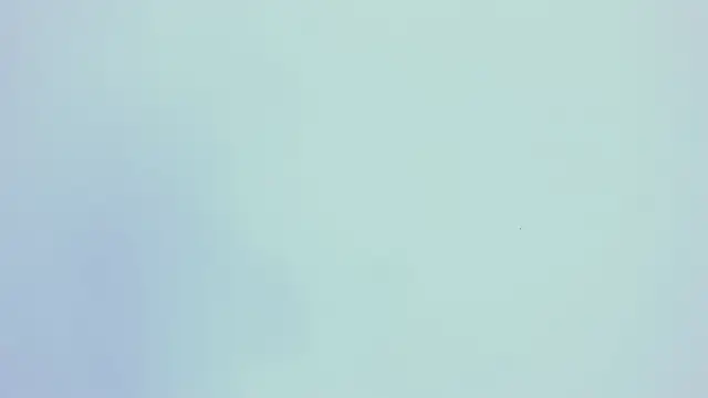 PariisTaylor online show from 29, 10, 2025