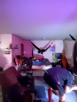 Fuckboyguyman online show from 24, 3, 2026