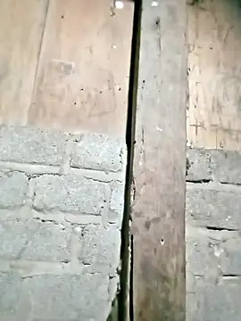 Noelle-e online show from 22, 2, 2026