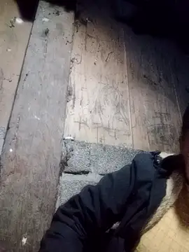 Noelle-e online show from 9, 1, 2026