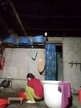 Noelle-e online show from 3, 3, 2026