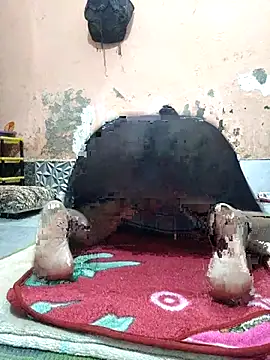 CUTE-GIRL-1 online show from 3, 4, 2026