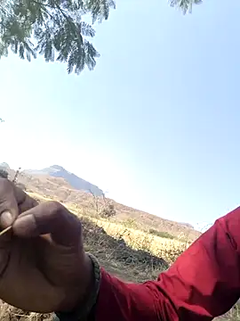 devil boy 0909 online show from 11, 3, 2026