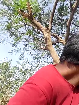 devil boy 0909 online show from 17, 4, 2026