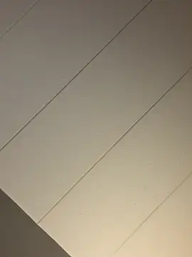 bbc4toes92 online show from 20, 11, 2025