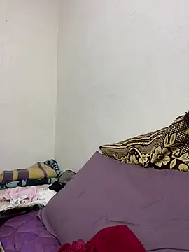 WildNour online show from 9, 2, 2026