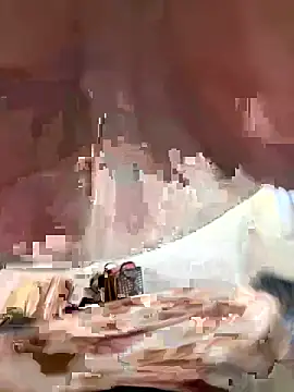 WildNour online show from 6, 11, 2025