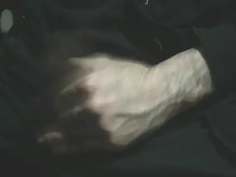 giovanift111 online show from 10, 1, 2026