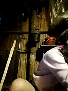 doggy-00 online show from 21, 3, 2026