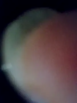 bella-la online show from 4, 3, 2026